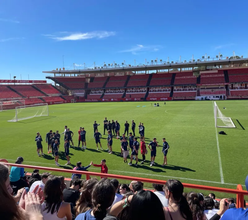 nastic 7