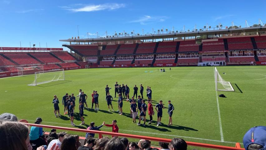 nastic 7