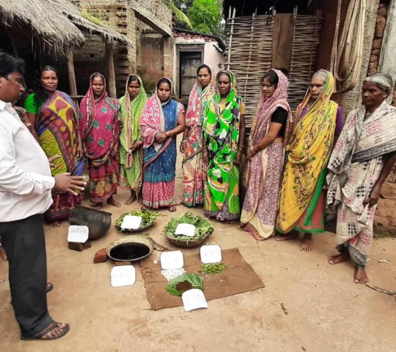 npm preparation at paikachira village
