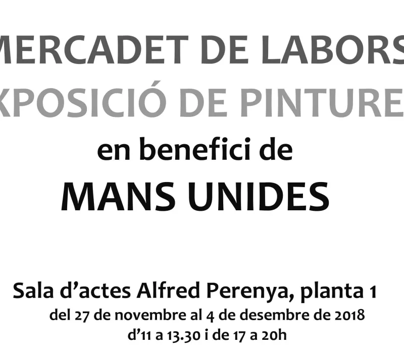 Exposición de pinturas y mercadillo de labores a beneficio de Manos Unidas