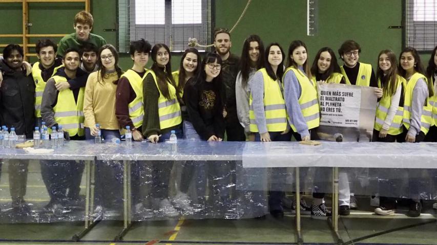 operacion bocata 20 14