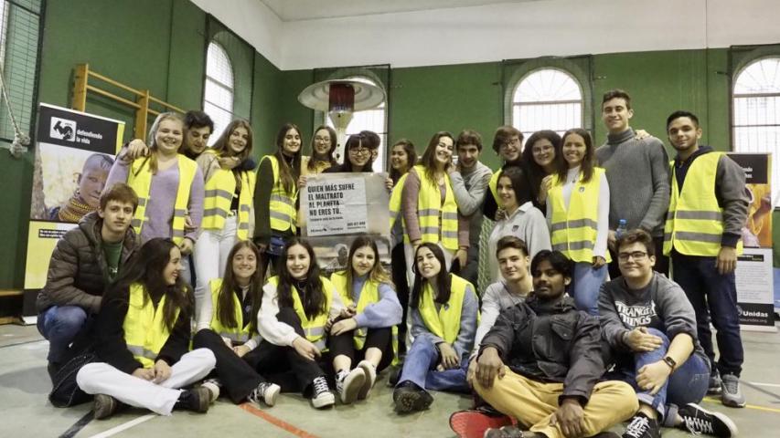 operacion bocata 20 26