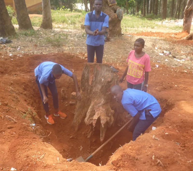 Mejora de la educación bilingüe en zona musulmana en Centro de San Abraham. 1ª Fase. Camerun.
