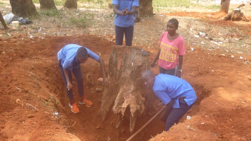 Mejora de la educación bilingüe en zona musulmana en Centro de San Abraham. 1ª Fase. Camerun.
