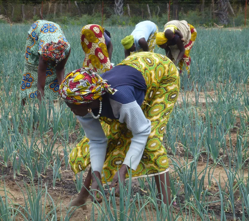 Convenio Senegal AECID Manos Unidas