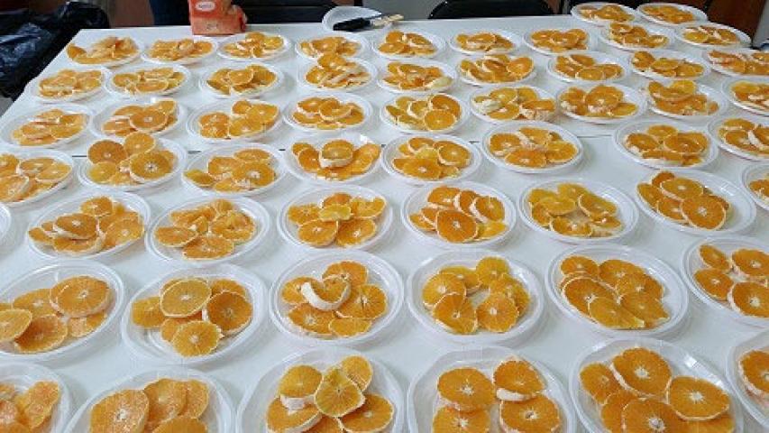 paella solidaria5