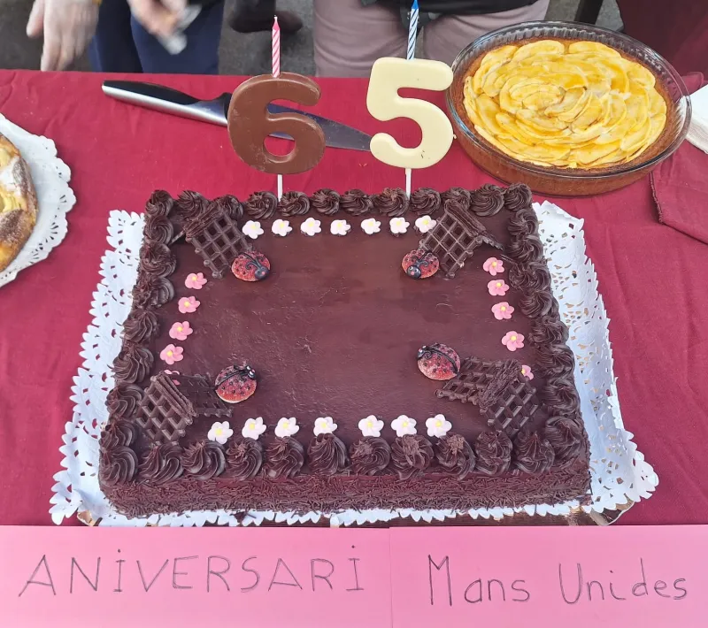 pastissos 1