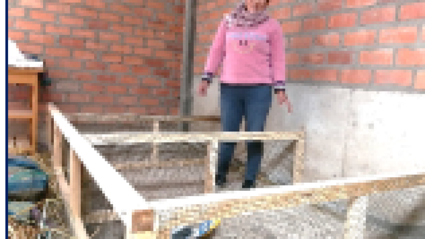 per 77603 foto 4
