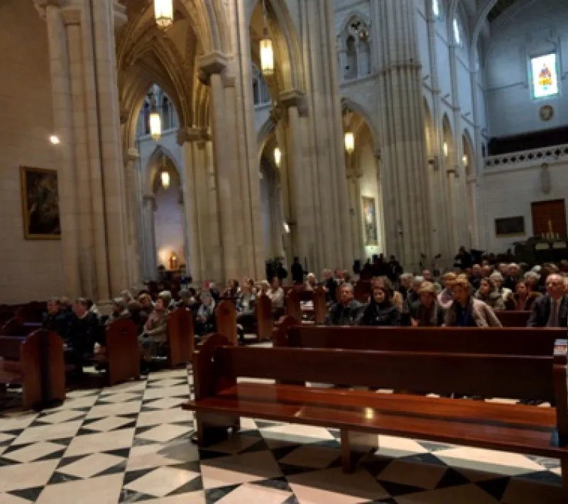 peregrinacion a la catedral de la almudena 5r