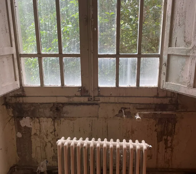 photo 2023 06 19 11 26 55