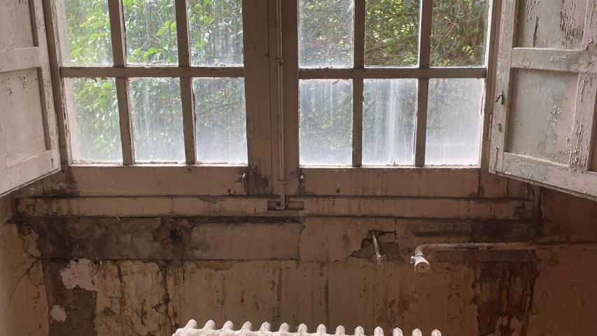 photo 2023 06 19 11 26 55
