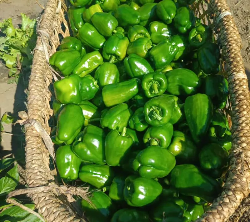 photo 2024 07 03 10 12 38