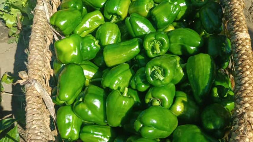 photo 2024 07 03 10 12 38