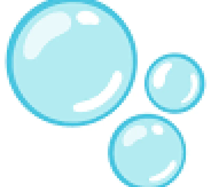 ponpas