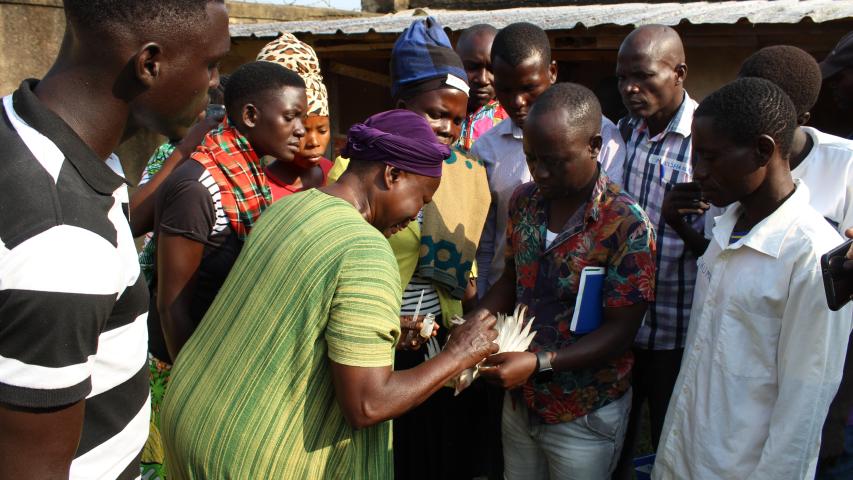 poultry paravets carrying out vaccination during their training