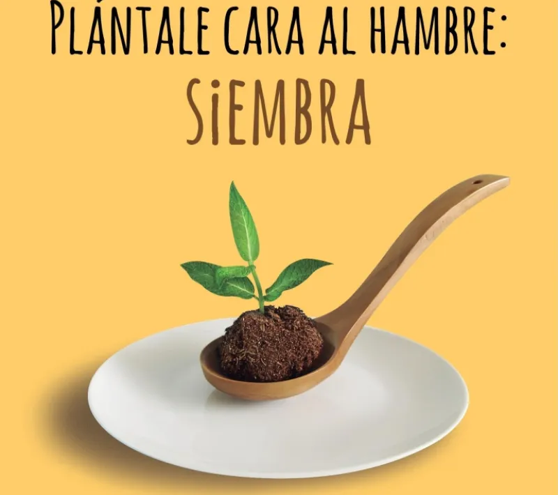 premios mu 2015 0