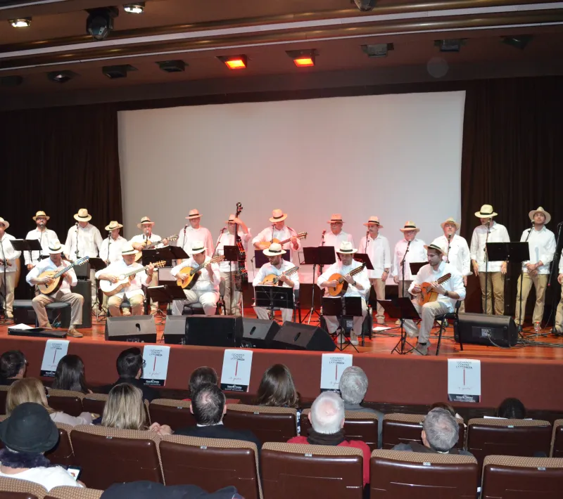 presentacion campana manosunidasmurcia manos unidas murcia 2015 19
