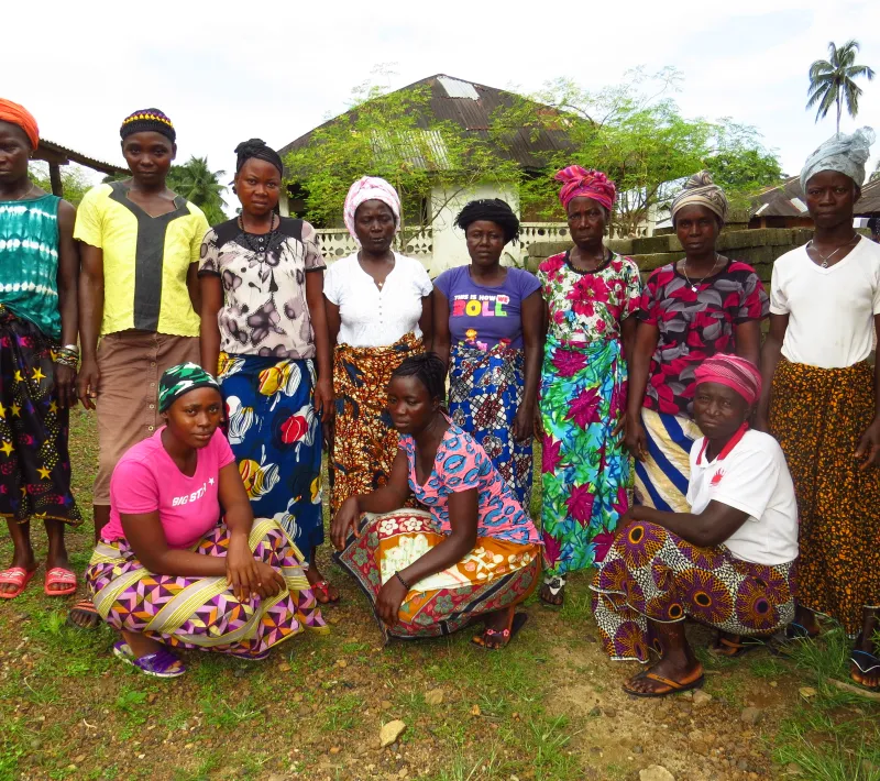 project management committee pmc njagbema community 1
