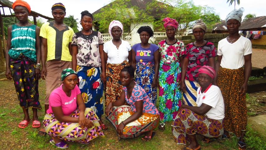 project management committee pmc njagbema community 1