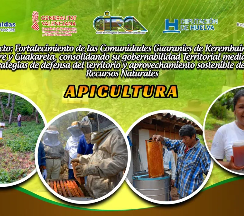 proyecto bolivia 2018.2