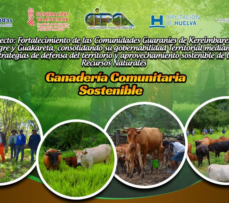 proyecto bolivia 2018.3