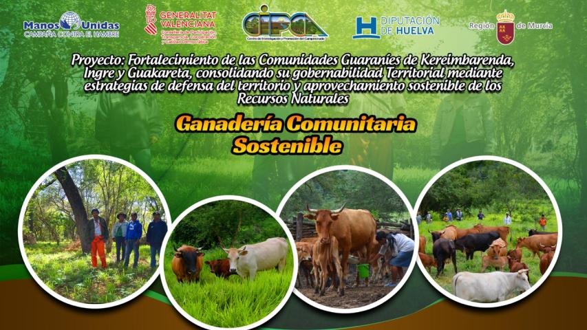 proyecto bolivia 2018.3