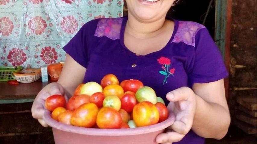 Proyecto de Manos Unidas en El Salvador 2018. Producción