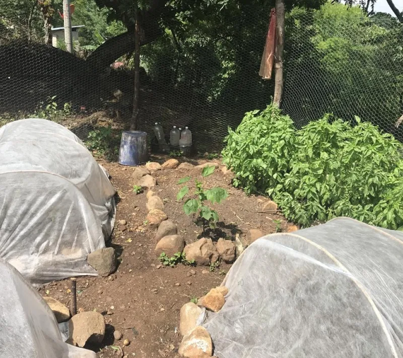 Proyecto de Manos Unidas en El Salvador 2018. Huertos