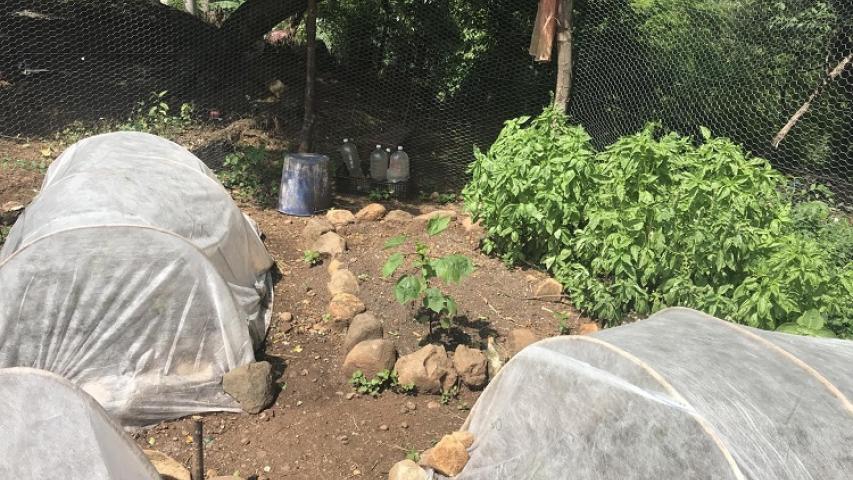 Proyecto de Manos Unidas en El Salvador 2018. Huertos