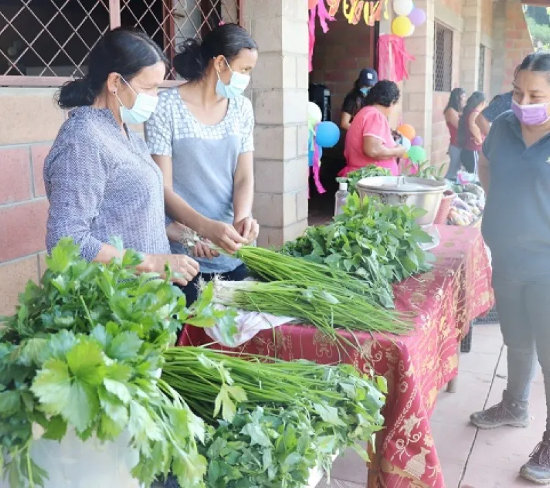 Proyecto de Manos Unidas para la mejora de condiciones de vida en El Salvador