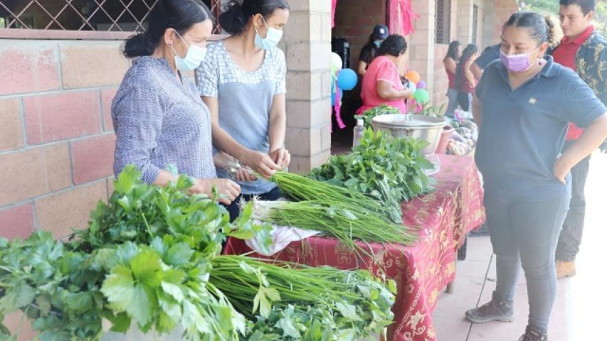 Proyecto de Manos Unidas para la mejora de condiciones de vida en El Salvador