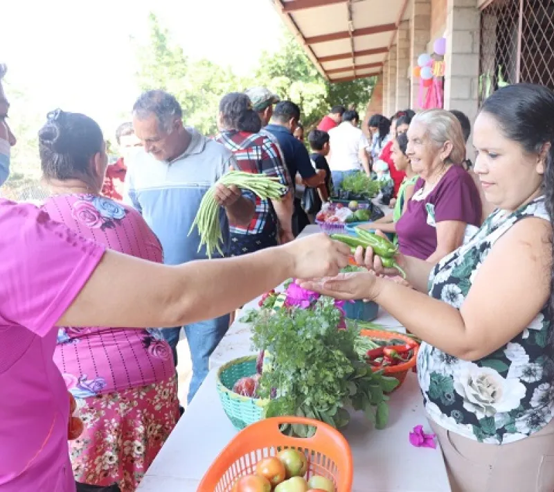 Proyecto de Manos Unidas para la mejora de condiciones de vida en El Salvador