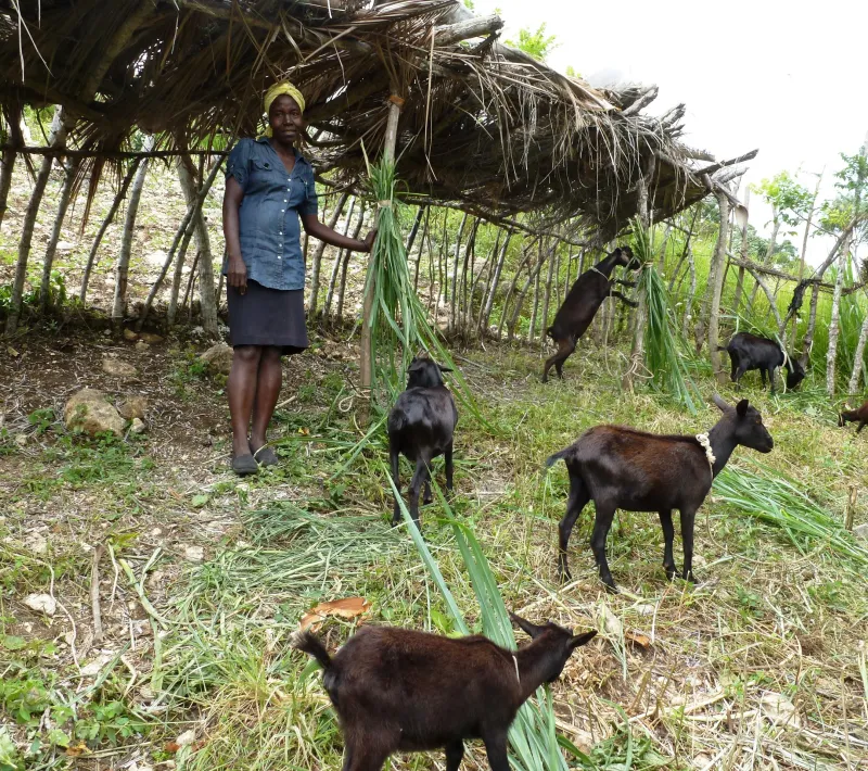 Proyecto Caritas Jacmel, Haiti