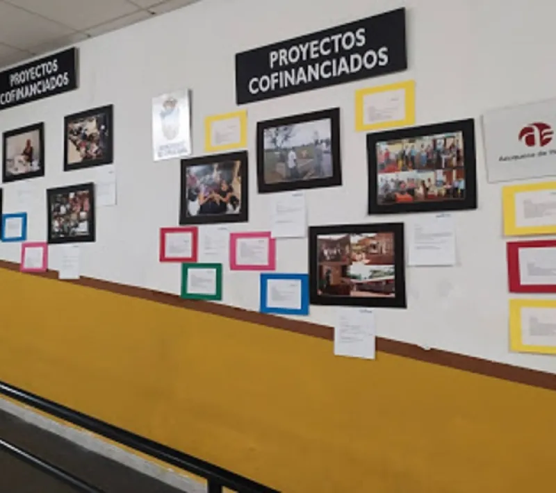 Proyecto Cofinanciado