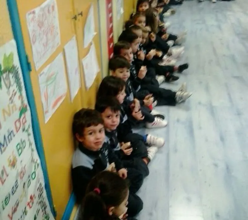 pulga solidaria