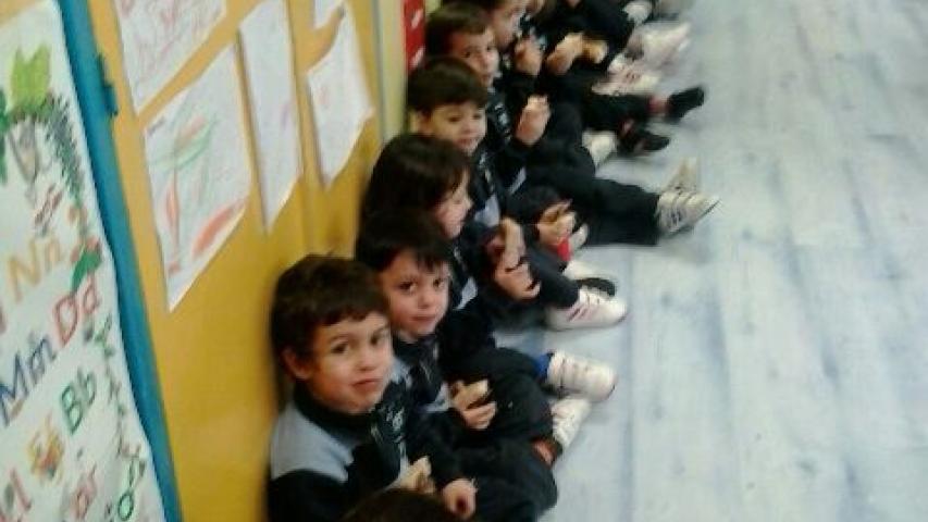 pulga solidaria
