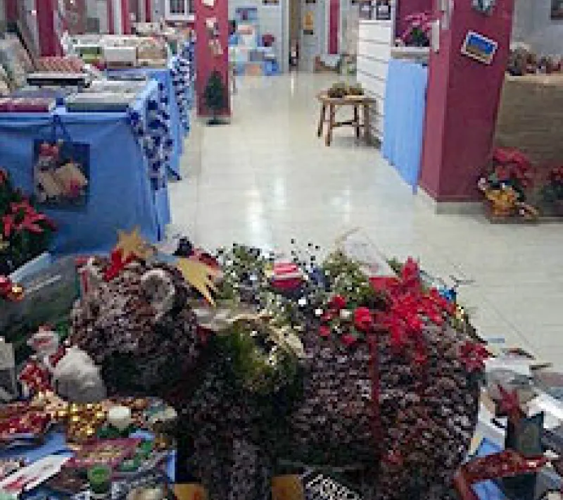 rastrillo libros marbella2v