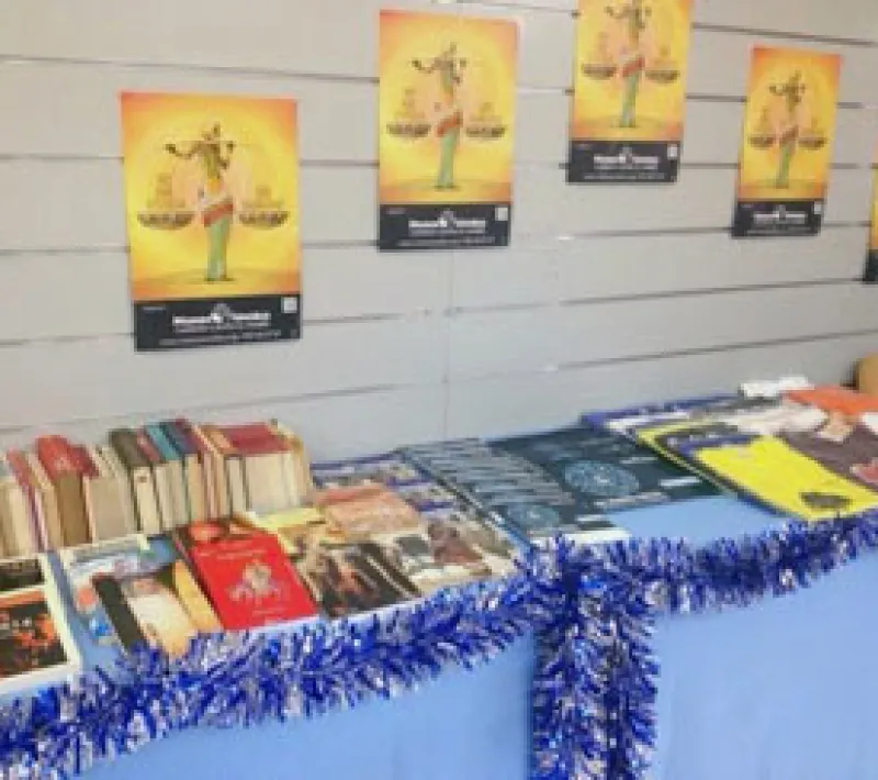 rastrillo libros marbella5