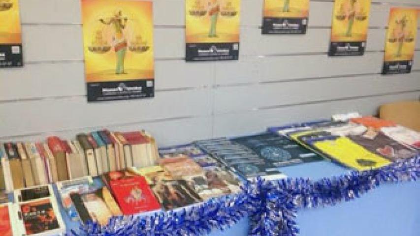 rastrillo libros marbella5