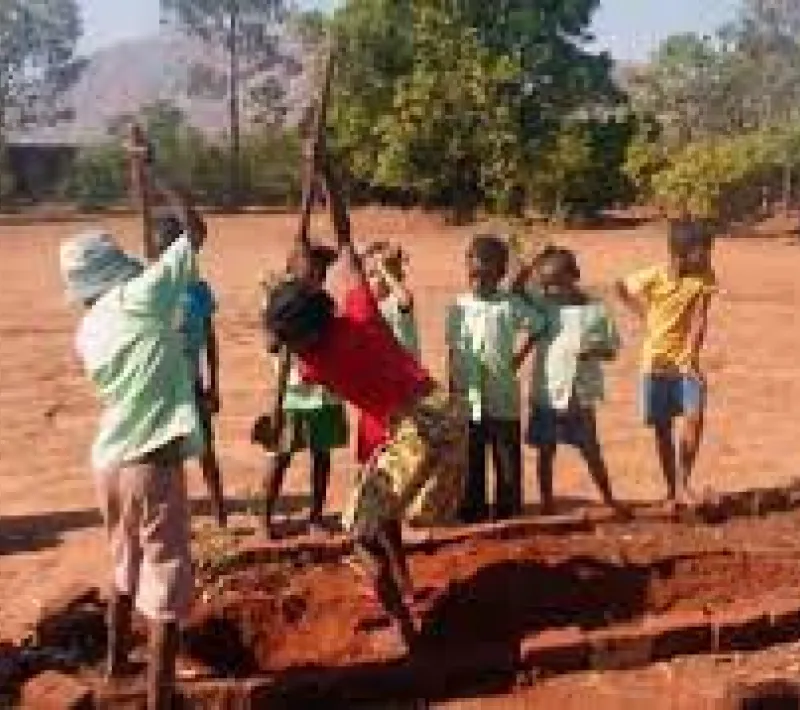 reforestacion