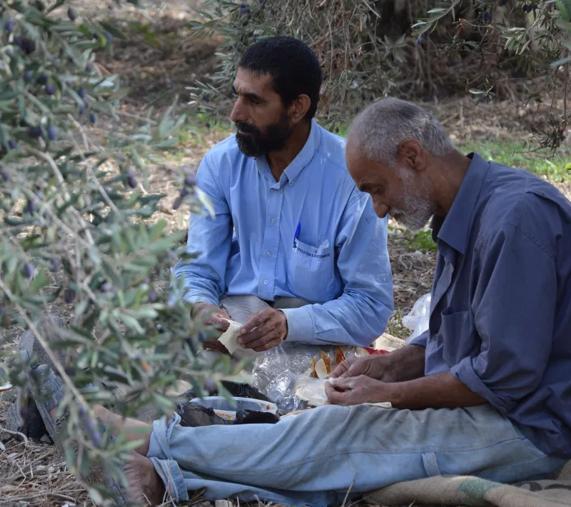 refugiados sirios