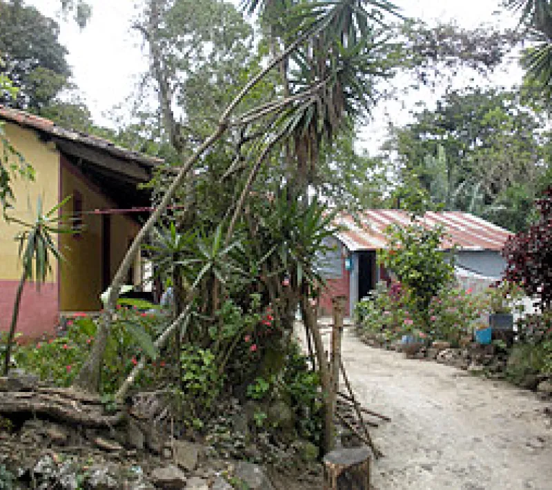 Proyecto mejora del hábitat para combatir el mal de Chagas en el Salvador