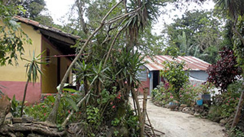 Proyecto mejora del hábitat para combatir el mal de Chagas en el Salvador