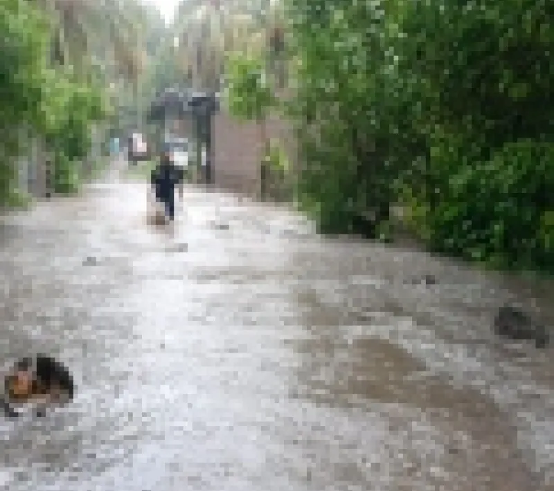 san luis talpa 2