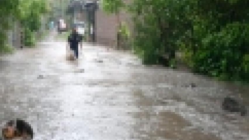 san luis talpa 2