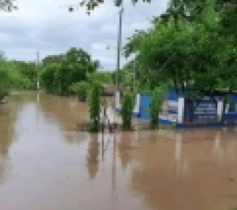 san luis talpa 3
