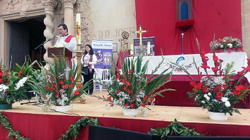santa faz2015 1