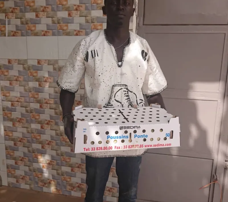 senegal 17