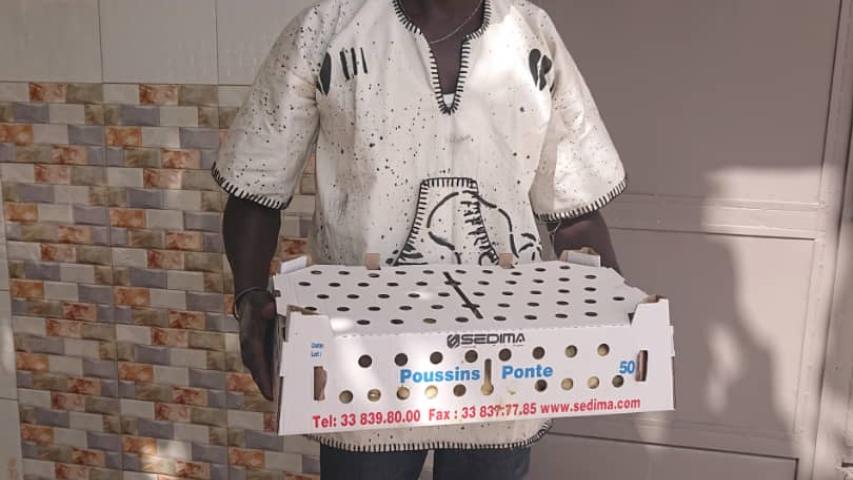 senegal 17