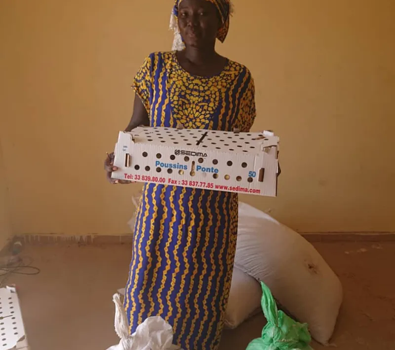 senegal 5